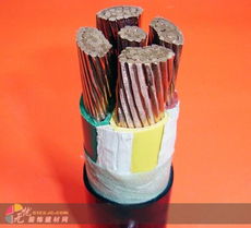 东莞建材市场新动态 信牌电线电缆供应充足，铜芯铝芯产品受青睐